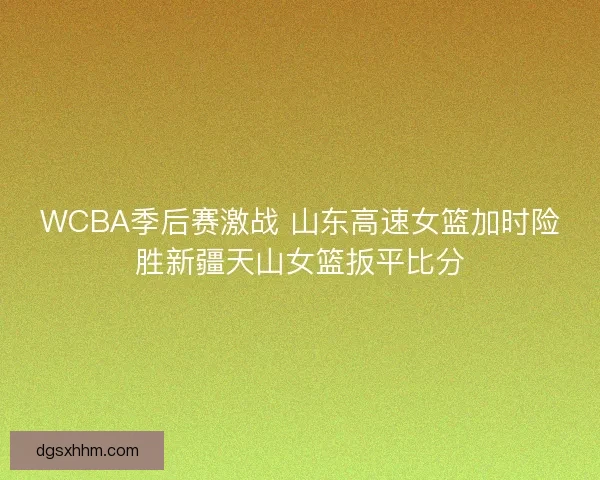 WCBA季后赛激战 山东高速女篮加时险胜新疆天山女篮扳平比分